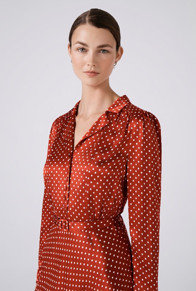 Victoria Polka Dot Collared Midi Dress