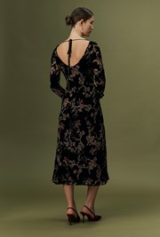 Katherine Floral Devoré Velvet Midi Dress