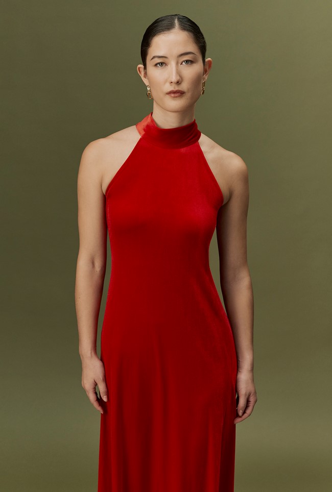 Amy High Neck Velvet Maxi Dress