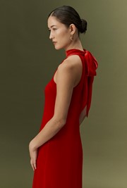 Amy High Neck Velvet Maxi Dress