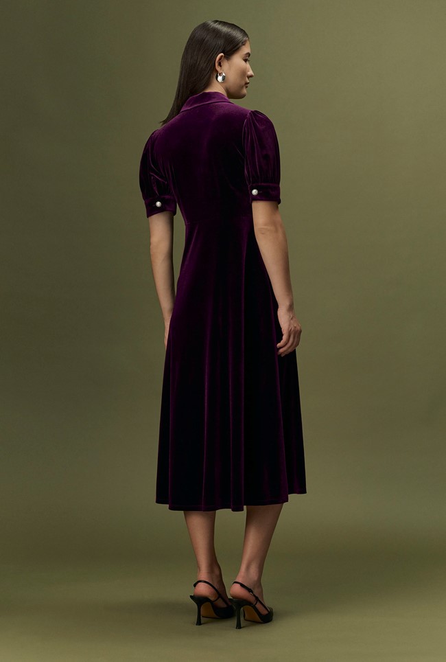 Wilma Velvet Midi Tea Dress
