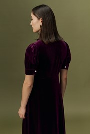 Wilma Velvet Midi Tea Dress