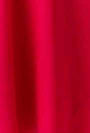 Dahlia Picot Trim Satin Midi Skirt