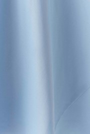 Dahlia Picot Trim Satin Midi Skirt